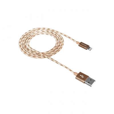  Canyon, USB - Lightning 8-pin,  , 1,  CNE-CFI3GO