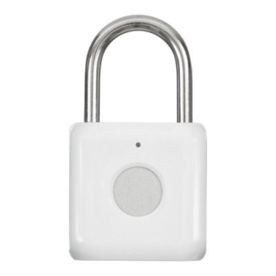   Digma SmartLock P1  (SRP1)