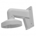 ��������� Hikvision DS-1273ZJ-135