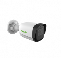   (IP) Tiandy TC-C35WS I5/E/Y/2.8mm(4mm)/V4.0 