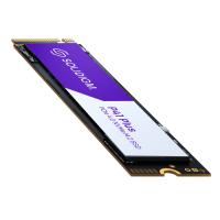   SSD 512Gb Solidigm P41 Plus (SSDPFKNU512GZX1)