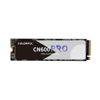   SSD Colorful 256Gb M.2 2280 PCI Express CN600 256GB PRO