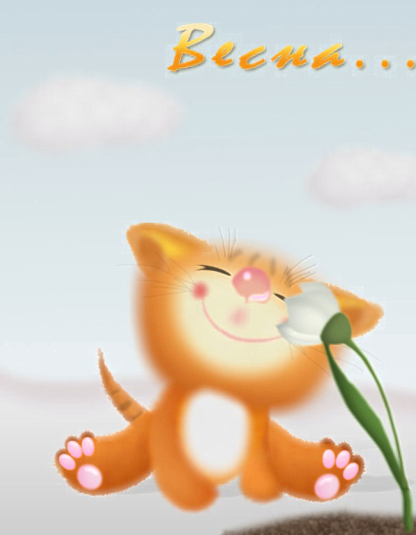 � ������ ���� ����� !!!