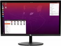  23.8" RDW Computers RDW2401K  IPS 5ms 16:9 HDMI  1000:1 250cd 178 /178  1920x1080 D-Sub DisplayPort (RUS)