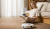 �����-������� Xiaomi Robot Vacuum H50 Pro EU (BHR089NEU)