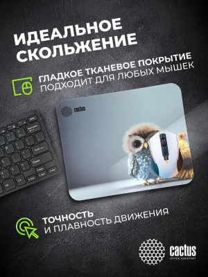 ������ ��� ���� Cactus Owl gray ������� 300x250x3�� (CS-MPC-D12M)