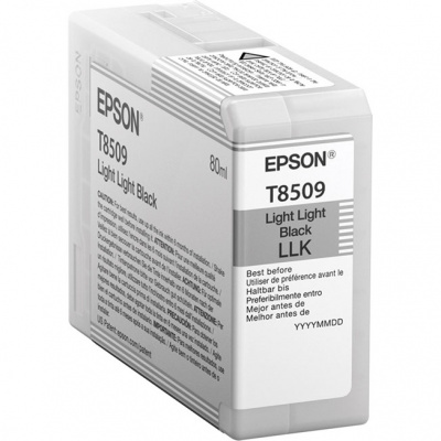 �������� EPSON T8509 ��� SC-P800 ������-�����