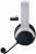   Razer Kaira for Playstation headset RZ04-03980100-R3M1