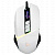  A4 Bloody W60 Max   (10000dpi) USB (10but)