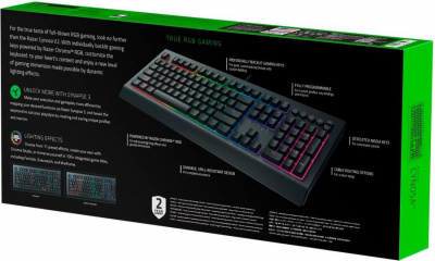  Razer Cynosa v2 (     Chroma) (RZ03-03400700-R3R1)