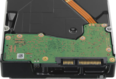������� ���� WD Gold WD242KRYZ, 24��, HDD, SATA III, 3.5"