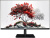 Монитор RDW Computers 27" RDW2701K черный IPS Монитор RDW Computers 27" RDW2701K черный IPS