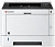  Kyocera Ecosys P2040DN / A4 40ppm 1200x1200dpi Duplex