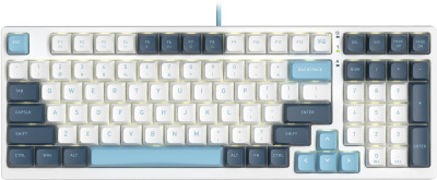 ���������� A4Tech Fstyler FS300 ������������ �����/����� USB for gamer LED (FS300 PANDA SNOWBOARDING)