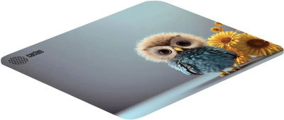 ������ ��� ���� Cactus Owl gray ������� 300x250x3�� (CS-MPC-D12M)