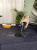 ������� ������ Karcher SE 5 Car 1000�� �����/������