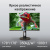 Монитор Digma 27" Progress 27P505Q черный IPS LED Монитор Digma 27" Progress 27P505Q черный IPS LED