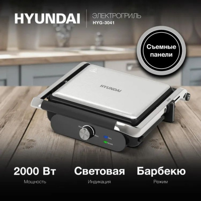 ������������ Hyundai HYG-3041 2000�� ������/������