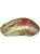 ���� SteelSeries Wireless Gaming Mouse CS2 Dragon Lore Edition