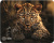 ������ ��� ���� Cactus Leopard 250x200x3�� (CS-MP-D06S)