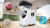 ��������� Bosch MFWS609W �����