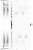 ����� ��� ���������� Zalman CNPS9X Performa Plus ARGB S, 4-pin, ARGB, 120��, �����, retail (CNPS9X PERFORMA PLUS ARGB WH)