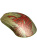 ���� SteelSeries Wireless Gaming Mouse CS2 Dragon Lore Edition