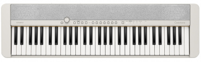  Casio CT-S1WE 