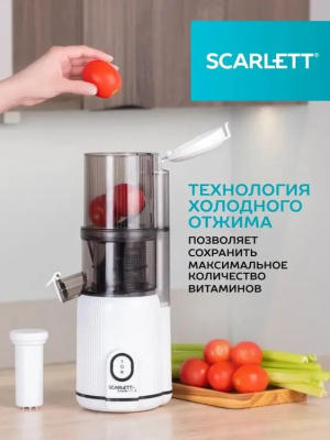 ������������� �������� Scarlett SC-JE50S63 400�� ���.���.:600��. �����