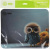 ������ ��� ���� Cactus Owl gray ������� 300x250x3�� (CS-MPC-D12M)