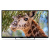 ��������� LED PolarLine 32" 32PL54TC-SM ������ 