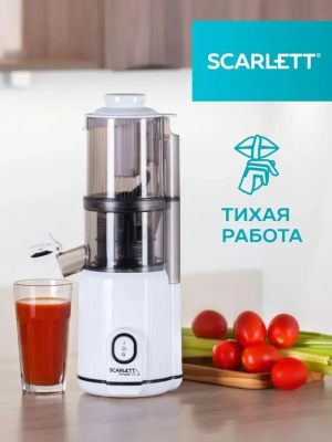 ������������� �������� Scarlett SC-JE50S63 400�� ���.���.:600��. �����