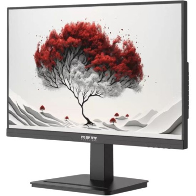������� RDW Computers 23.8" 2401K FHD IPS 4ms 100Hz ������ (2401K/F08B3100V3A1H)