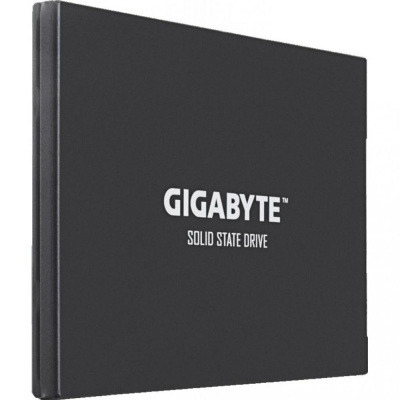 GIGABYTE 2.5" 256GB Gigabyte UD PRO Client SSD GP-UDPRO256G SATA 6Gb/s, 550/530, IOPS 98/89K, MTBF 1.6M, 3D TLC, 256MB, 175TBW, 0.37DWPD, RTL