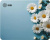 ������ ��� ���� Cactus Daisies 250x200x3�� (CS-MP-D07S)
